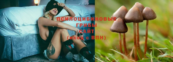 эйфоретик Кукмор