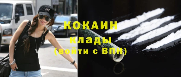 крисы Краснослободск