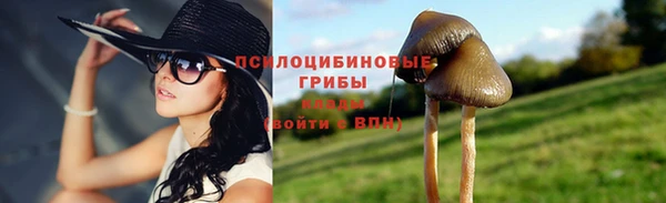 эйфоретик Кукмор
