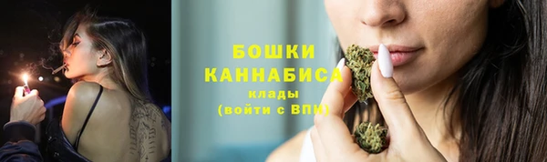 эйфоретик Кукмор