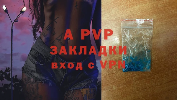 эйфоретик Кукмор